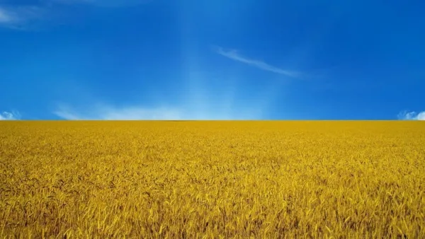 Берестечківський психоневрологічний інтернат